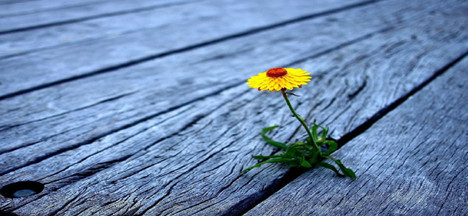 揭秘!小三阳的症状表现都有哪些?